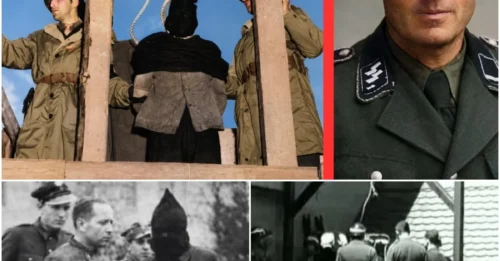 THE HORRIFIC NAZI SS GUARD Who Turned Crematoria And Executions Into Personal Killing Fields: The Sickening Fate Of Otto Moll, The Monster Of Auschwitz Crematoria HM