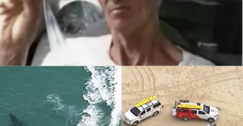 HORROR OFF AUSTRALIA: 10-Foot Great White KILLS Surfer Despite Heroic Fight to Drive the Beast Away — Victim Dies on the Beach After Catastrophic Attack