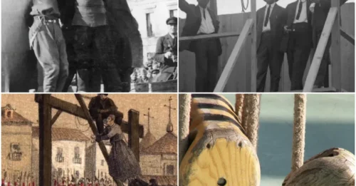 Inside the Upright Jerker Execution: One Instant of Brutal Force and the Dark Mechanism Behind the Most Hypocritical “Humane” Killing Method in American History HM