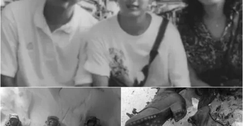 The Yamamoto Family's Chilling Final Moments Captured on Camera Before They Vanished Into Everest's Deadliest Storm
