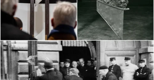 Inside the Guillotine’s Deadly Drop: The 1/50-Second Horror That Made the Blade So Heavy, Far Beyond Simple Decapitation HM