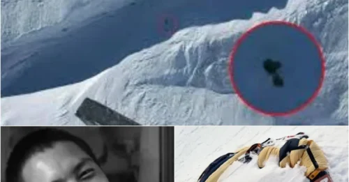 The Tragic Story of Ngima Tashi Sherpa — The Climber Who Refused to Leave a Stranger Behind and Paid the Ultimate Price