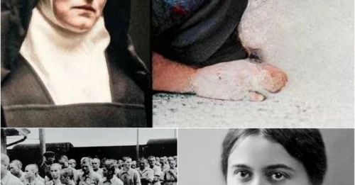 Inside The Execution Of The Jewish Female Martyr At Auschwitz: The Shocking Final Words Of Edith Stein, The European Saint, Before Entering The Gas Chamber