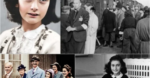 Inside The Horrific Truth Of Anne Frank's Final Days: The Heartbreaking Tragic Life Endured By The Lovely 15-Year-Old In WWII