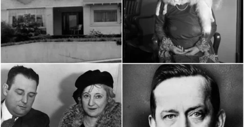 The DISTURBING Case Of The Attic Lover: Dolly Oesterreich’s Forbidden Affair Lasted A Decade In Secret — Until Gunshots Exposed The Darkest Love Triangle In Hollywood History Hm
