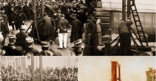 Inside The Dark Reason Guillotine Victims Were Forced To Shave Their Heads: The Terrifying Mechanics Where A Single Hair Could Cause Prolonged Torture