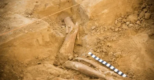 ARCHAEOLOGISTS STUNNED! Shocking Discovery of 58 Bullets and Amputated Limbs at Waterloo Rewrites What We Knew About Famous 1815 Clash