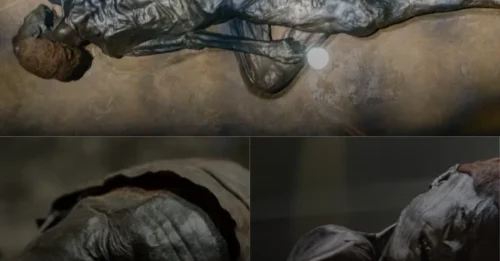 SHOCKING DISCOVERY! The 2,000-Year-Old Murder Victim Hidden Beneath the Mud: Slit Throat and Hallucinogenic Fungi Uncover Dark Iron Age Secret!