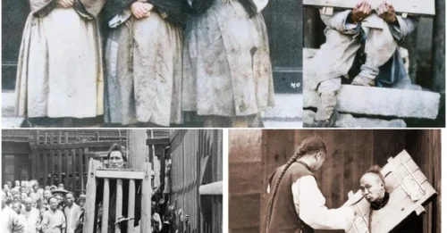 The BRUTAL Mechanism Of The Cangue Exposed: How A 73kg Wooden Collar Of Death Turned Public Execution Into Endless Agony HM