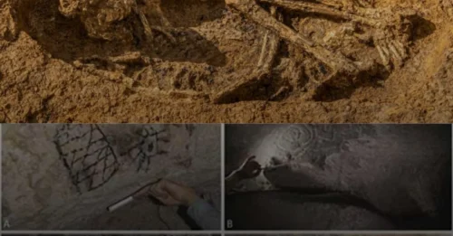 UNEARTHED AFTER CENTURIES: Largest-Ever Batch Of Ancient Skeletons Found In Volcanic Soil Could Map The DNA Of People Wiped Out By Columbus!