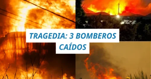 ¡MÁS DE 360,000 EVACUADOS! El infierno azotador de 40°C desata el caos en Europa y obliga a miles a huir hacia las playas para salvar sus vidas