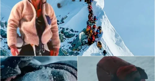 The Miraculous Survival of Beck Weathers — How a Man Left for Dead at 27,000 Feet Walked Out of the Death Zone, Defying All Medical Logic