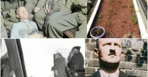 The CHILLING Exhumation Of Britain’s Most Infamous Traitor: Lord Haw-Haw’s Body Was Unearthed 30 Years After Executioner Albert Pierrepoint Sent Him To The Gallows HM