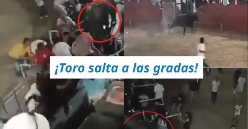 ¡ÚLTIMA HORA! Un toro salta las gradas durante una festividad en Colombia y embiste a la multitud: al menos 4 heridos graves