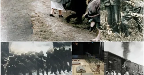 The HORRIFIC Fake Hospital of the SS: How Nazi Soldiers Lured Prisoners Into the “Lazaret” and Executed Them in History’s Most Nightmare-Inducing Crime HM