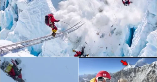 Inside The Almost Unbelievable First Himalayan Deaths Of 2026: The Tragic Moment Seasoned Climbers Fell On The 24,600-Foot Makalu Peak