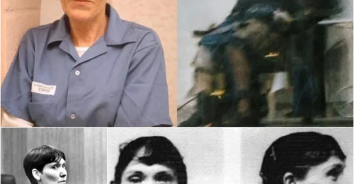 Inside The 30-Second Electric Chair Execution Of Florida's 