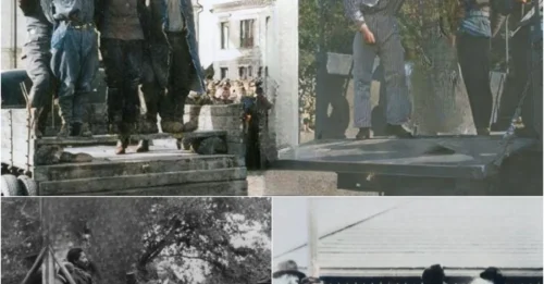 The Terrifying Mechanics Of Short Drop Hanging: A 20-Minute Nightmare — The Slow Strangulation Method Used For Centuries