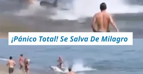 ¡ÚLTIMA HORA! PÁNICO EN ESPAÑA: Un bañista huye a toda velocidad en Marbella tras ser perseguido por una 