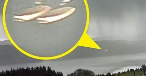TERRIFYING UFO MYSTERY! Loch Ness Tourist Finds Glowing Object Hidden in Family Photo After Dog Suddenly Starts Barking in Panic